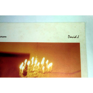 David J - Songs From Another Season 1990 UK Version Vinyl LP ***READY TO SHIP from Hong Kong***